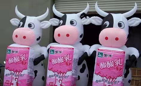 六安牛奶厂广告气模